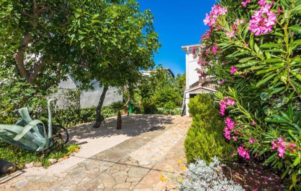 Apartment "Marija" - Otok Vir Esterno foto
